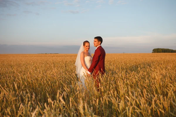 Pareja de boda — Foto de Stock