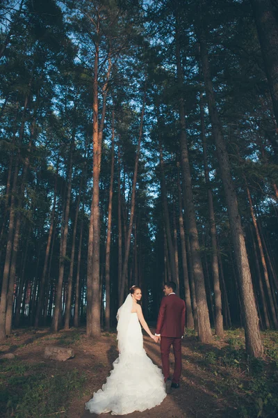 Romántica y atractiva pareja de recién casados —  Fotos de Stock