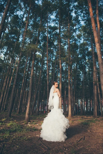 Hermosa novia — Foto de Stock