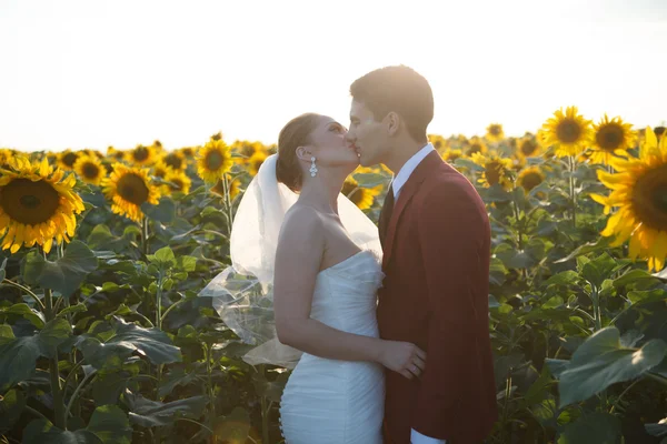 Sólo nosotros dos. — Foto de Stock