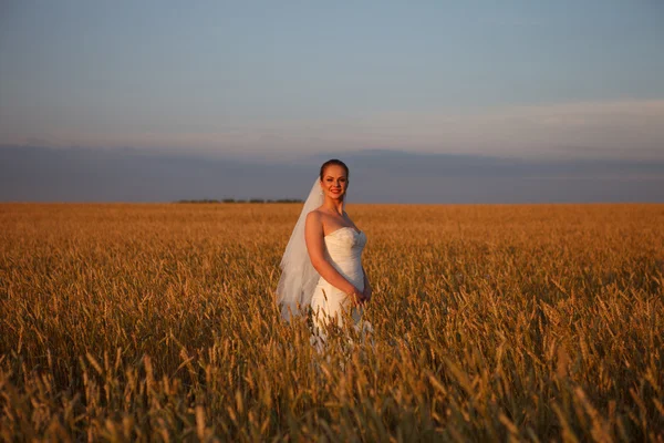 Невеста в поле — стоковое фото