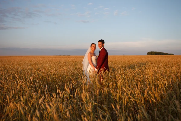 Hochzeitspaar — Stockfoto