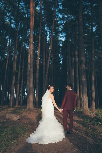 Παντρεμένο ζευγάρι στο δάσος — Φωτογραφία Αρχείου