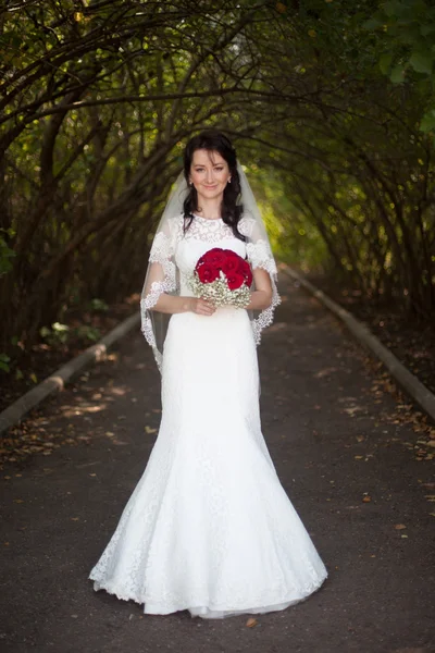 Portret pięknej narzeczonej brunetka — Zdjęcie stockowe