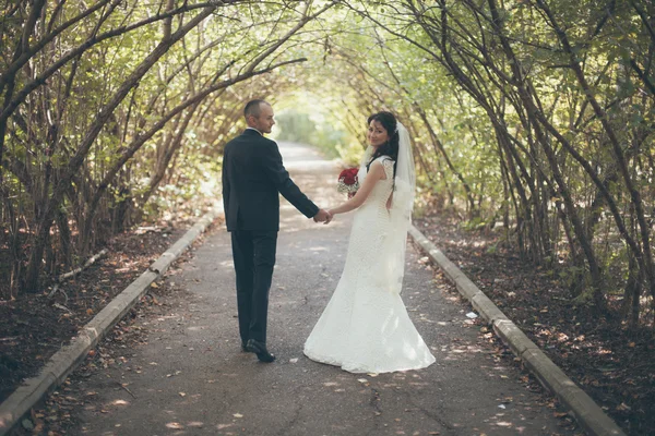 Imagen romántica de pareja atractiva —  Fotos de Stock