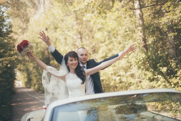 Hochzeit — Stockfoto