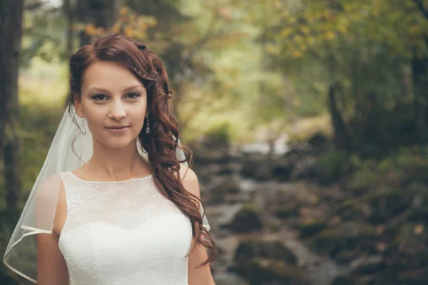 Beautiful bride — Stock Photo, Image