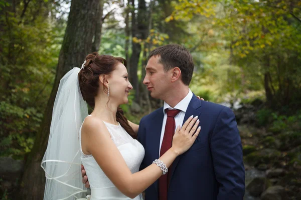 Esposo y esposa en el día de la boda —  Fotos de Stock