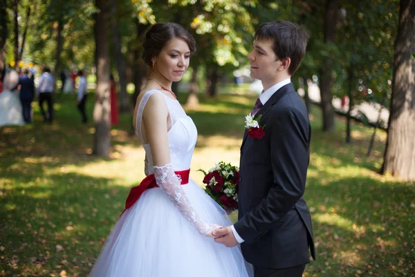 Hochzeitskuss — Stockfoto