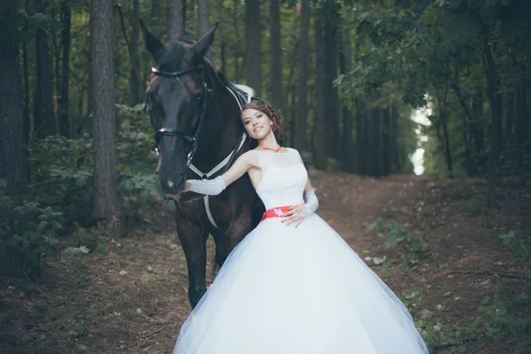 Jovem mulher de vestido branco de pé com cavalo — Fotografia de Stock