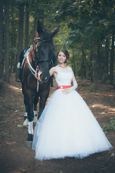 Giovane donna in abito bianco in piedi con cavallo — Foto Stock