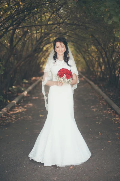 Beautiful bride — Stock Photo, Image