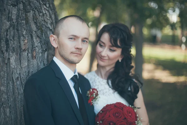 Mariée et marié le jour du mariage — Photo