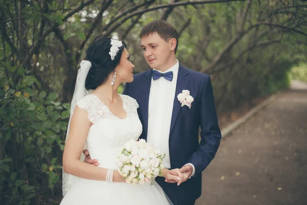 Sposi il giorno del matrimonio — Foto Stock