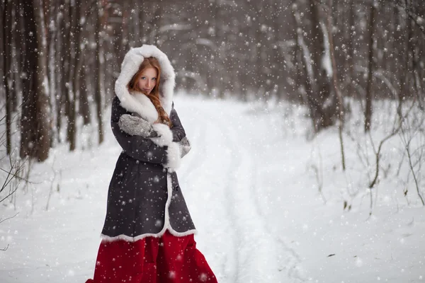 Vinterskjønnhet – stockfoto