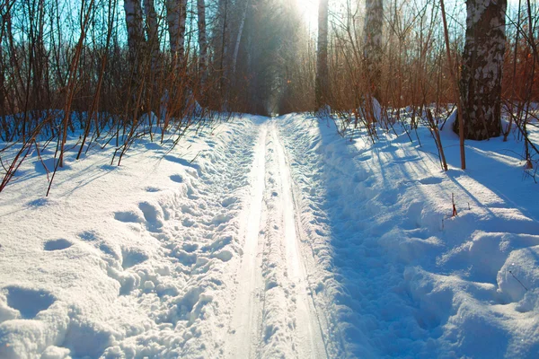 Ski run — Stock Photo, Image