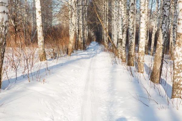 Ski run — Stock Photo, Image