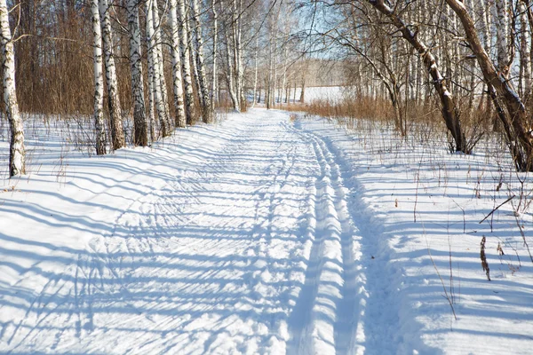 滑雪运行 — 图库照片