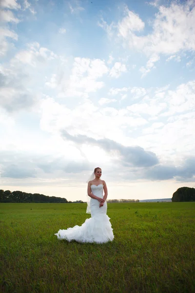 Bella sposa. — Foto Stock