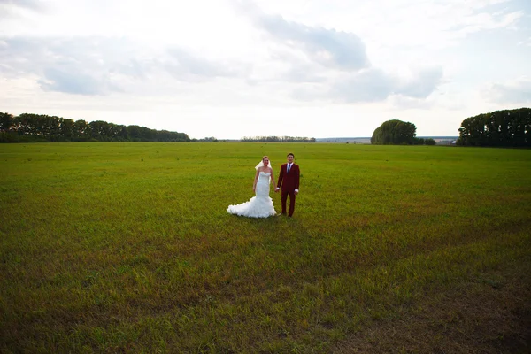 Sposi il giorno del matrimonio . — Foto Stock