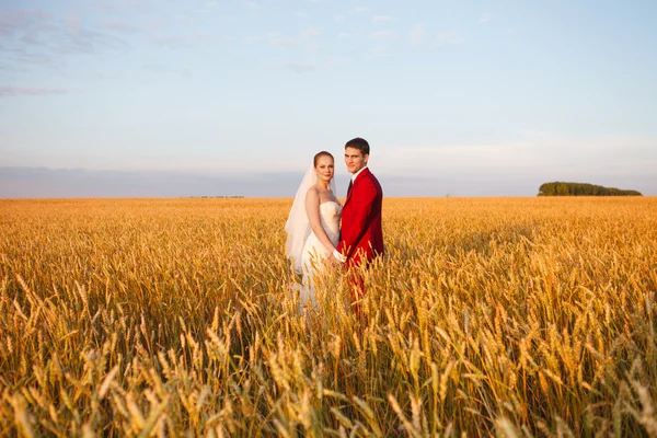 Novomanželé na svatební den. — Stock fotografie