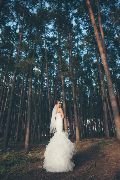 Bella sposa. — Foto Stock