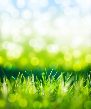 Odaklanmamış doğa arka plan