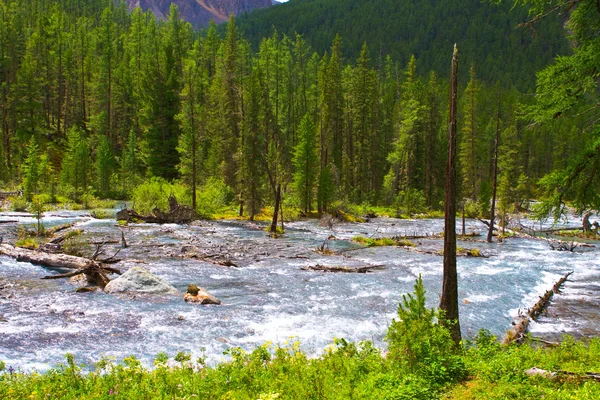 Fiume di montagna — Foto Stock