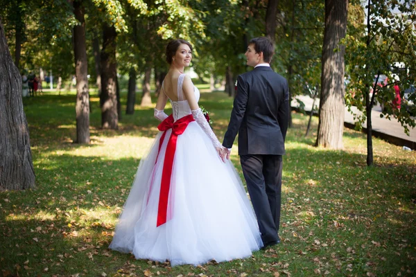 Beso de boda — Foto de Stock