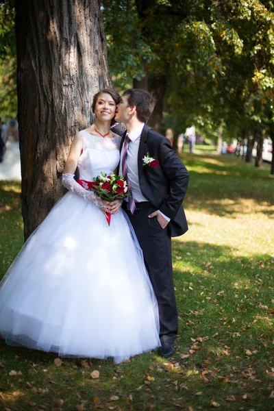 Esposo y esposa — Foto de Stock