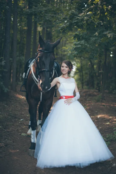 Bella sposa — Foto Stock