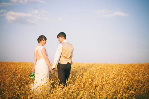 Brautpaar am Hochzeitstag. — Stockfoto