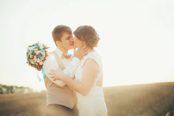 Recém-casados no dia do casamento . — Fotografia de Stock