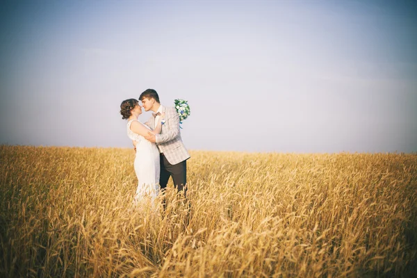 Novomanželé na svatební den. — Stock fotografie