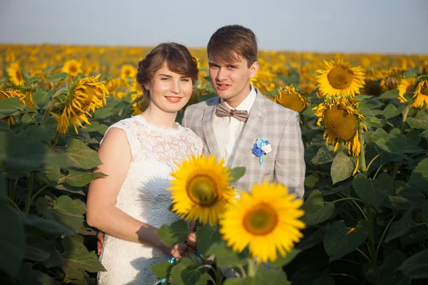 Pasgetrouwden op Wedding Day. — Stockfoto