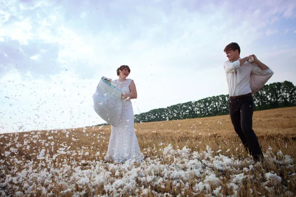 Yastık kavgası — Stok fotoğraf