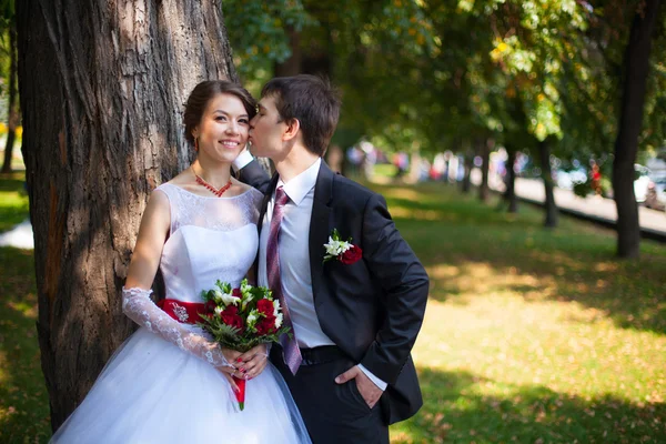 Recién casados el día de la boda — Foto de Stock