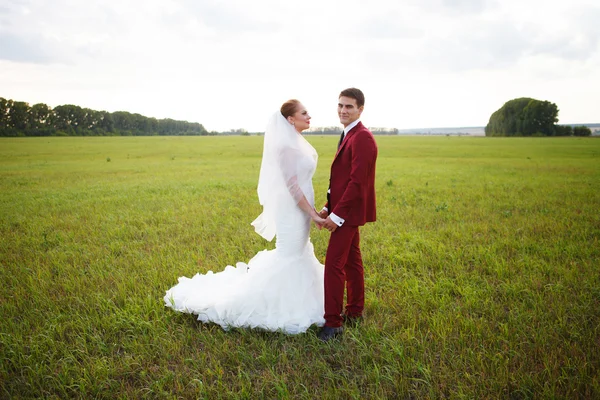 Recém-casados no dia do casamento — Fotografia de Stock