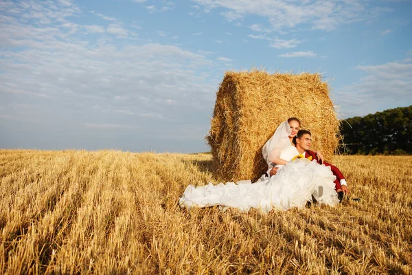 Recién casados el día de la boda — Foto de Stock