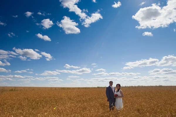 Romantiska bruden och brudgummen — Stockfoto