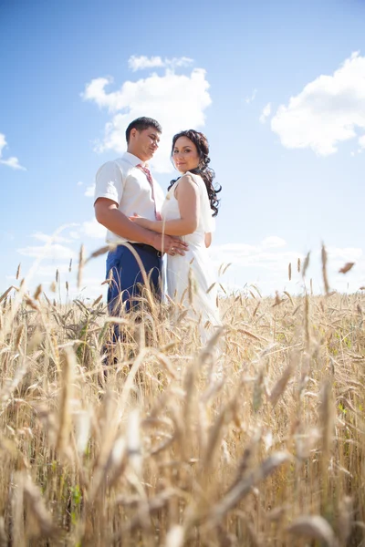 Liefdevolle bruid en bruidegom — Stockfoto