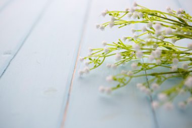 ahşap arka plan üzerinde bahar çiçeği.