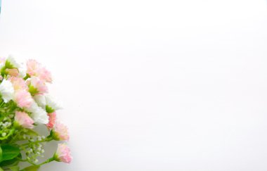 ahşap arka plan üzerinde bahar çiçeği.