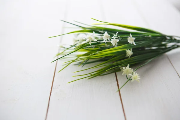 Flor de primavera sobre fondo de madera . —  Fotos de Stock