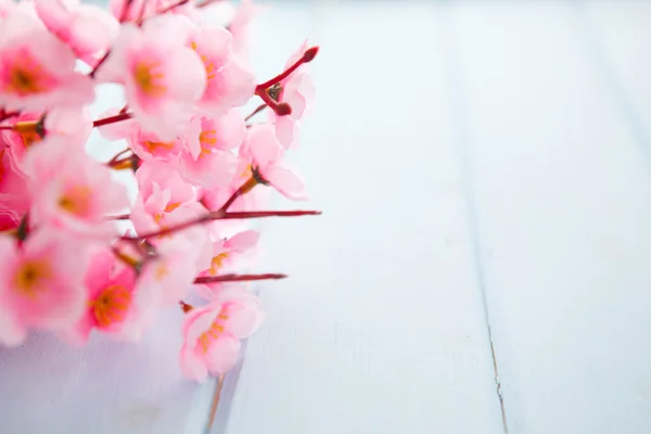 Printemps Blossom sur fond bois . — Photo