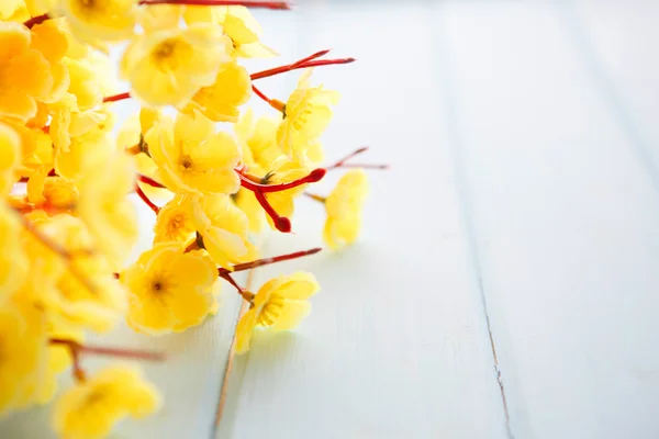 Frühlingsblüte über Holz Hintergrund. — Stockfoto