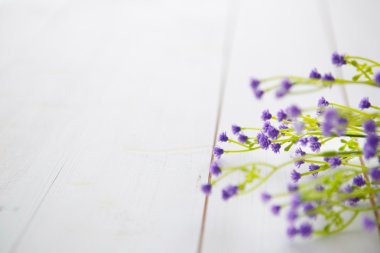 ahşap arka plan üzerinde bahar çiçeği.