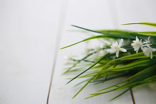 Flor de primavera sobre fondo de madera . —  Fotos de Stock