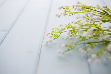 ahşap arka plan üzerinde bahar çiçeği.