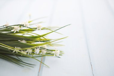 ahşap arka plan üzerinde bahar çiçeği.